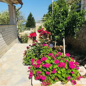 Vila Milo Appartement Vuno